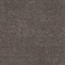 Shaw Floors Pet Perfect Plus Simple Charm II Antelope 00714_NA461