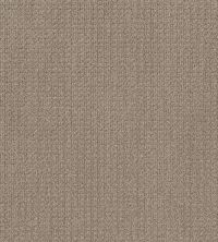Shaw Floors Nfa Stay Tuned French Linen 00101_NA468