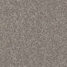 Shaw Floors Nfa My Way I Tree House 00700_NA469