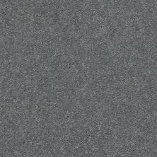 Shaw Floors Nfa Finders Keepers Slate 0501S_NA471