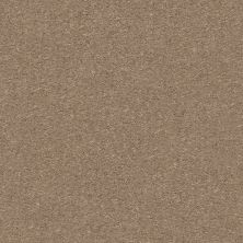 Shaw Floors Nfa Finders Keepers Cork 0701S_NA471