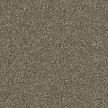 Shaw Floors Nfa Finders Keepers Fox Hollow 0722T_NA471