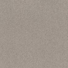 Shaw Floors Nfa Cozy Mist I Baltic Stone