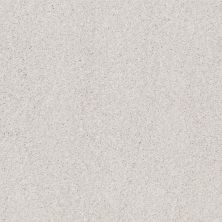 Shaw Floors Nfa Cozy Mist I Snowfall