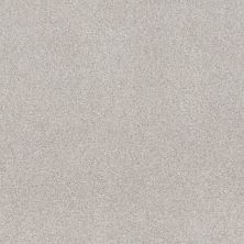 Shaw Floors Nfa Cozy Mist I Minimal