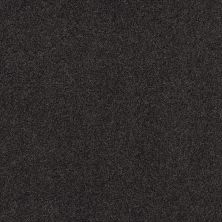 Shaw Floors Nfa Cozy Mist I Wrought Iron