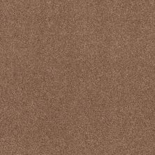 Shaw Floors Nfa Cozy Mist I Sunbaked