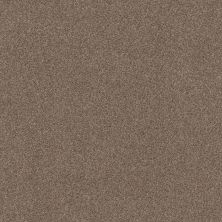 Shaw Floors Nfa Cozy Mist I Tumbleweed