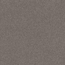 Shaw Floors Nfa Cozy Mist I Ridgeview