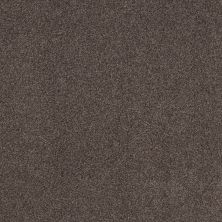 Shaw Floors Nfa Cozy Mist I Burma Brown