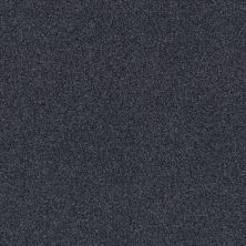 Shaw Floors Nfa Cozy Mist II Deep Sea