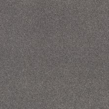 Shaw Floors Nfa Cozy Mist II Well Traveled