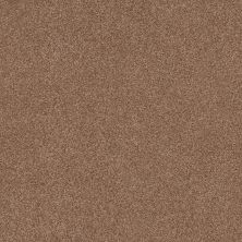 Shaw Floors Nfa Cozy Mist II Sunbaked