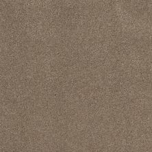 Shaw Floors Nfa Cozy Mist II Tumbleweed