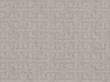 Shaw Floors Nfa Suki Dance Cold Winter