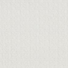 Shaw Floors Nfa Suki Dance Snowfall