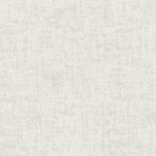 Shaw Floors Nfa Star Gaze Snowfall