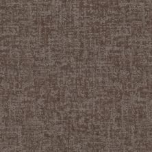 Shaw Floors Nfa Star Gaze Ridgeview