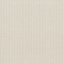 Shaw Floors Nfa Linvale Delicate Cream