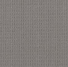 Shaw Floors Nfa Linvale Grounded Gray