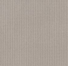 Shaw Floors Nfa Linvale Stucco