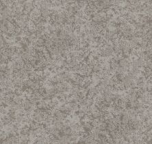 Shaw Floors Nfa Well Minded Cold Winter