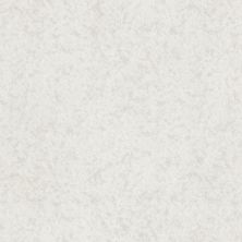 Shaw Floors Nfa Well Minded Snowfall