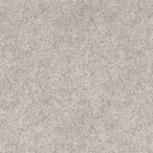 Shaw Floors Nfa Well Minded Minimal