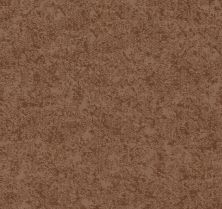 Shaw Floors Nfa Well Minded Sunbaked