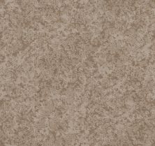 Shaw Floors Nfa Well Minded Sandstone