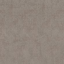 Shaw Floors Nfa Day Bright Stucco