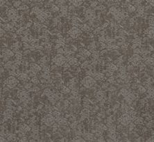 Shaw Floors Nfa Flowing Spirit Grounded Grey 00536_NA490