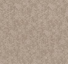 Shaw Floors Nfa Flowing Spirit Sandstone 00743_NA490