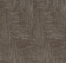 Shaw Floors Nfa Artist Interpretation Ridgeview