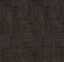 Shaw Floors Nfa Artist Interpretation Burma Brown