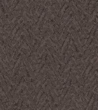 Shaw Floors Nfa Hopeful Burma Brown