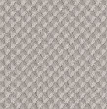 Shaw Floors Nfa Riveting Review Cold Winter