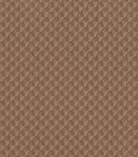 Shaw Floors Nfa Riveting Review Sunbaked