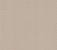 Shaw Floors Nfa Light It Up Natural Beauty