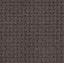 Shaw Floors Nfa Light It Up Burma Brown