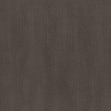 Shaw Floors Nfa Soul Search Burma Brown