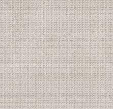 Shaw Floors Nfa Charmed Jewel Winters Dawn