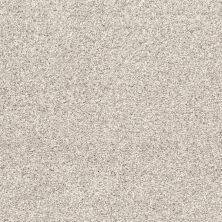 Shaw Floors Nfa Quiet Excuse Washed Linen 00103_NA502