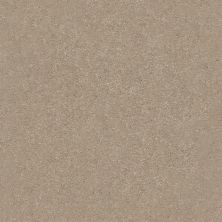 Shaw Floors Nfa Relentless II 12 Raw Lumber 00102_NA505