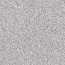 Shaw Floors Nfa Cavallini Silver Lining