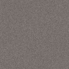 Shaw Floors Nfa Cavallini River Run