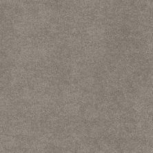 Shaw Floors Nfa Provisional I Abalone 00101_NA518