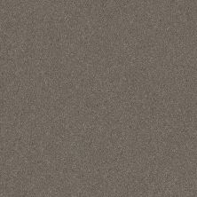 Shaw Floors Nfa Provisional I Misty Mica 00105_NA518