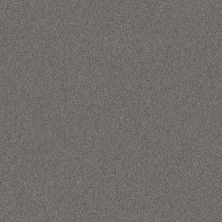 Shaw Floors Nfa Provisional I Silver Spoon 00502_NA518