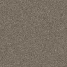 Shaw Floors Nfa Provisional I Saddle Tan 00700_NA518